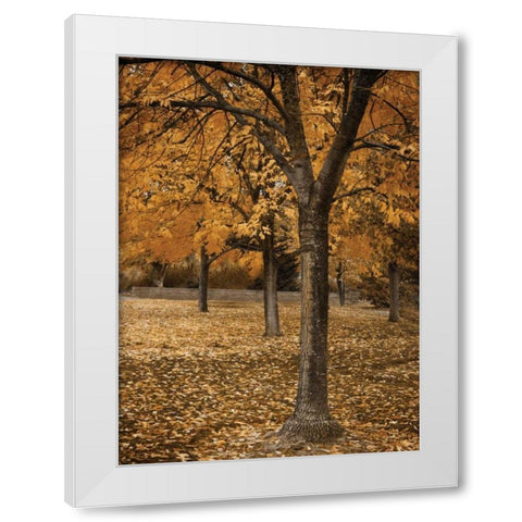 Fall Tree Grove I White Modern Wood Framed Art Print by Geyman, Vitaly
