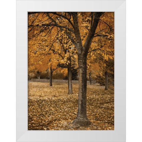 Fall Tree Grove I White Modern Wood Framed Art Print by Geyman, Vitaly