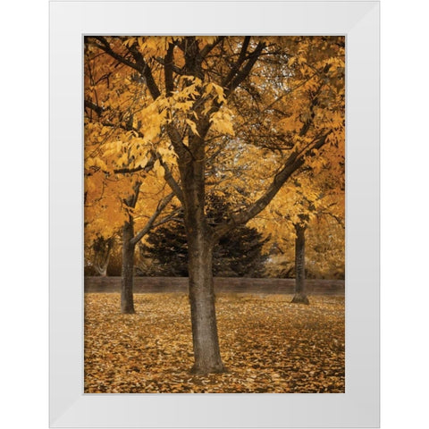 Fall Tree Grove II White Modern Wood Framed Art Print by Geyman, Vitaly