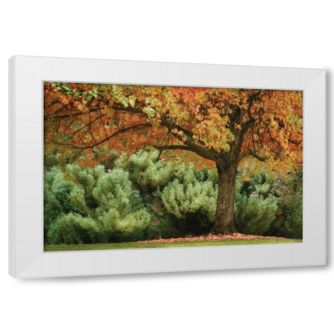 Ocean of Colors White Modern Wood Framed Art Print by Geyman, Vitaly