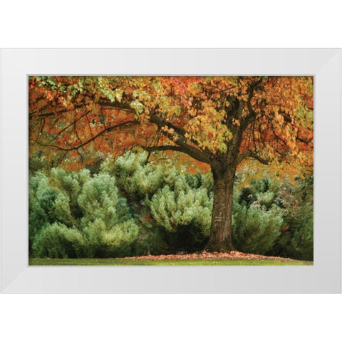 Ocean of Colors White Modern Wood Framed Art Print by Geyman, Vitaly