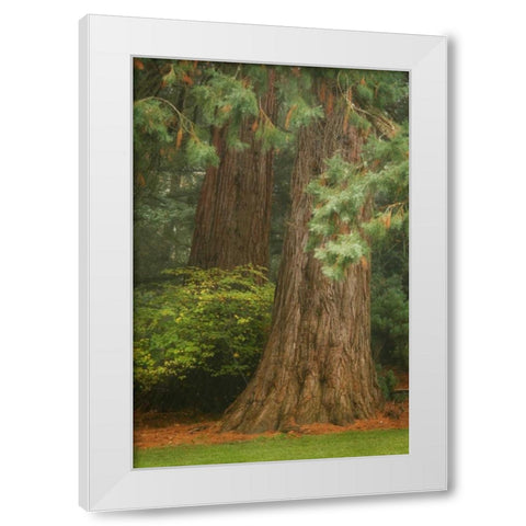 Ancient Forest I White Modern Wood Framed Art Print by Geyman, Vitaly