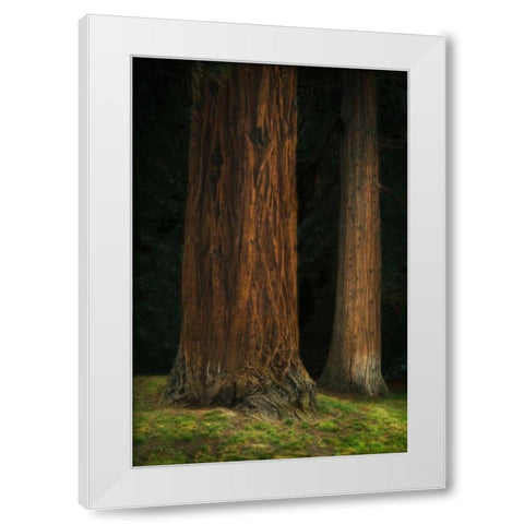 Ancient Forest II White Modern Wood Framed Art Print by Geyman, Vitaly
