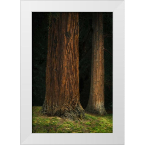 Ancient Forest II White Modern Wood Framed Art Print by Geyman, Vitaly