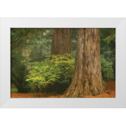 Ancient Forest III White Modern Wood Framed Art Print by Geyman, Vitaly