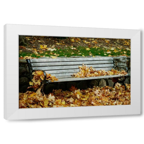 Autumn Paradise II White Modern Wood Framed Art Print by Geyman, Vitaly