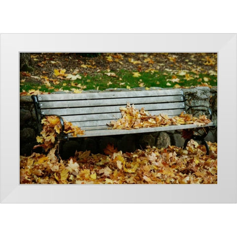 Autumn Paradise II White Modern Wood Framed Art Print by Geyman, Vitaly