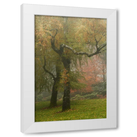 Colors in the Mist VI White Modern Wood Framed Art Print by Geyman, Vitaly