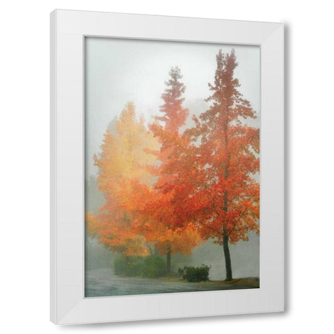 Colors in the Mist I White Modern Wood Framed Art Print by Geyman, Vitaly