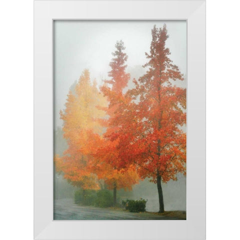 Colors in the Mist I White Modern Wood Framed Art Print by Geyman, Vitaly