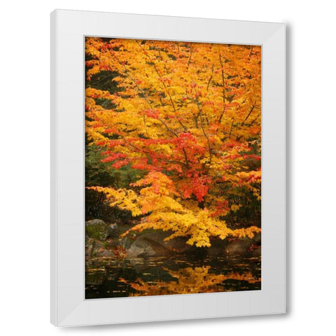 Fall Bouquet I White Modern Wood Framed Art Print by Geyman, Vitaly