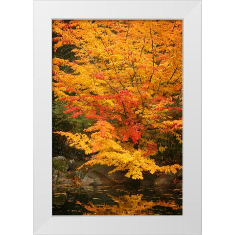 Fall Bouquet I White Modern Wood Framed Art Print by Geyman, Vitaly