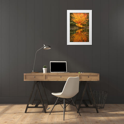 Fall Bouquet II White Modern Wood Framed Art Print by Geyman, Vitaly
