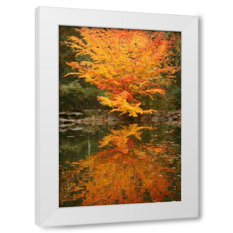 Fall Bouquet II White Modern Wood Framed Art Print by Geyman, Vitaly