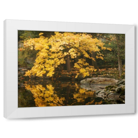 Autumn Reflections II White Modern Wood Framed Art Print by Geyman, Vitaly