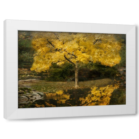 Autumn Reflections III White Modern Wood Framed Art Print by Geyman, Vitaly