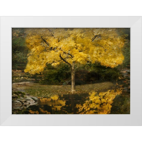 Autumn Reflections III White Modern Wood Framed Art Print by Geyman, Vitaly
