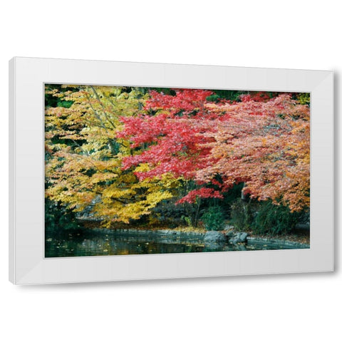 Autumn Trio I White Modern Wood Framed Art Print by Geyman, Vitaly