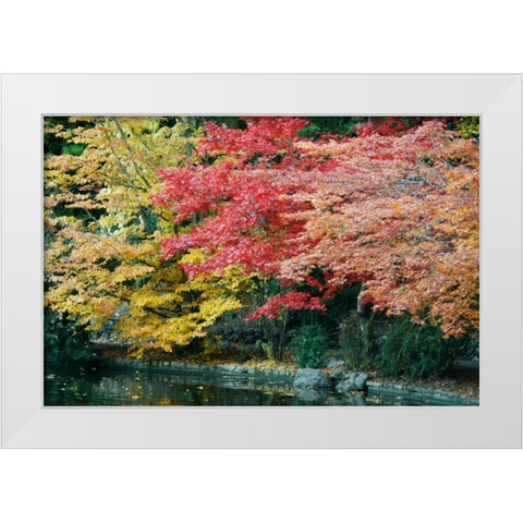 Autumn Trio I White Modern Wood Framed Art Print by Geyman, Vitaly