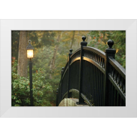 Bridge of Light I White Modern Wood Framed Art Print by Geyman, Vitaly