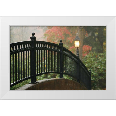 Bridge of Light II White Modern Wood Framed Art Print by Geyman, Vitaly
