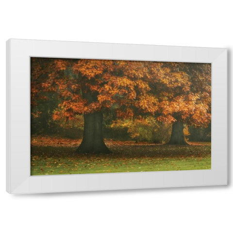 Red Oak Duo I White Modern Wood Framed Art Print by Geyman, Vitaly