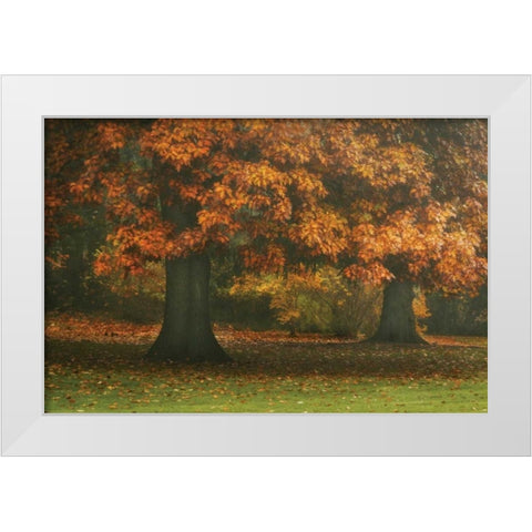 Red Oak Duo I White Modern Wood Framed Art Print by Geyman, Vitaly