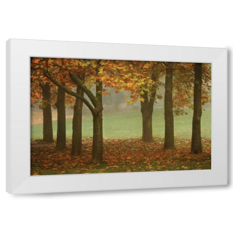 Colors in the Mist VII White Modern Wood Framed Art Print by Geyman, Vitaly