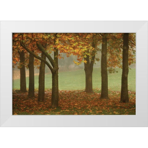 Colors in the Mist VII White Modern Wood Framed Art Print by Geyman, Vitaly