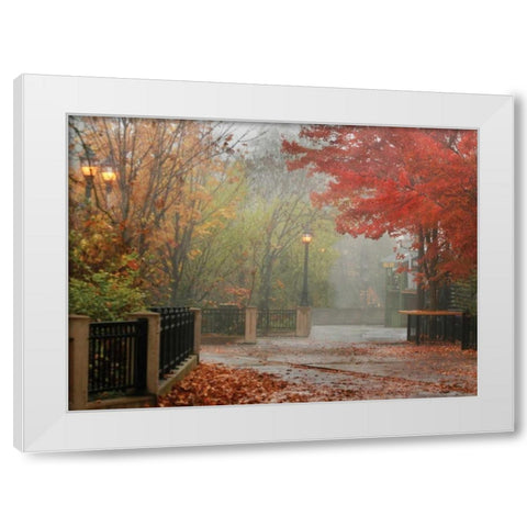 Fall Plaza I White Modern Wood Framed Art Print by Geyman, Vitaly