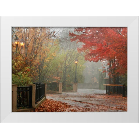 Fall Plaza I White Modern Wood Framed Art Print by Geyman, Vitaly