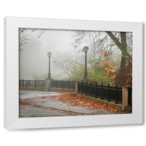 Fall Plaza II White Modern Wood Framed Art Print by Geyman, Vitaly