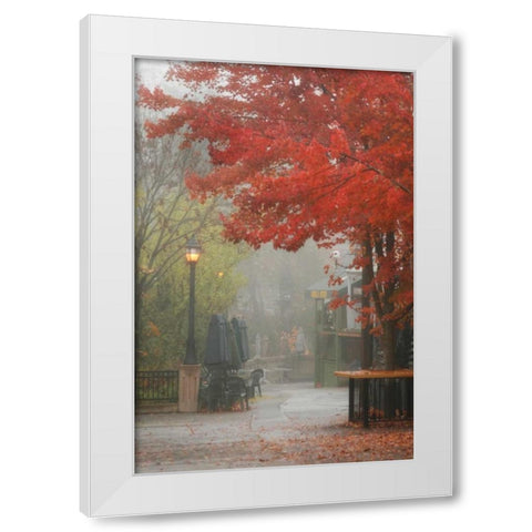 Fall Plaza III White Modern Wood Framed Art Print by Geyman, Vitaly