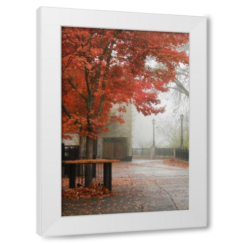 Fall Plaza IV White Modern Wood Framed Art Print by Geyman, Vitaly