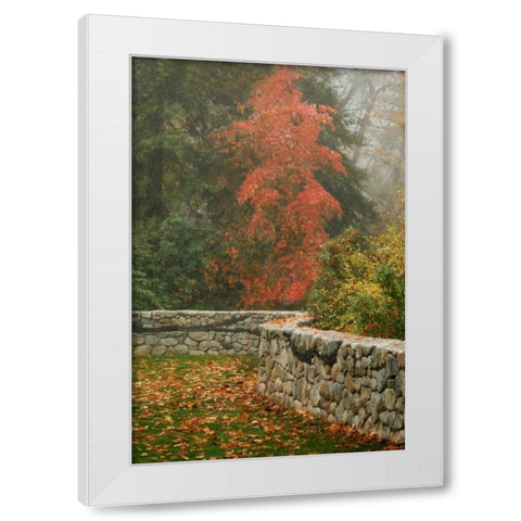 Fence Mosaic I White Modern Wood Framed Art Print by Geyman, Vitaly