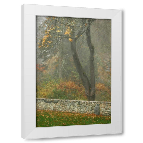 Fence Mosaic II White Modern Wood Framed Art Print by Geyman, Vitaly