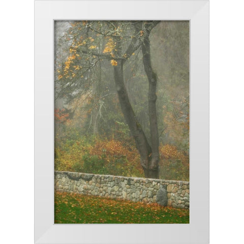 Fence Mosaic II White Modern Wood Framed Art Print by Geyman, Vitaly