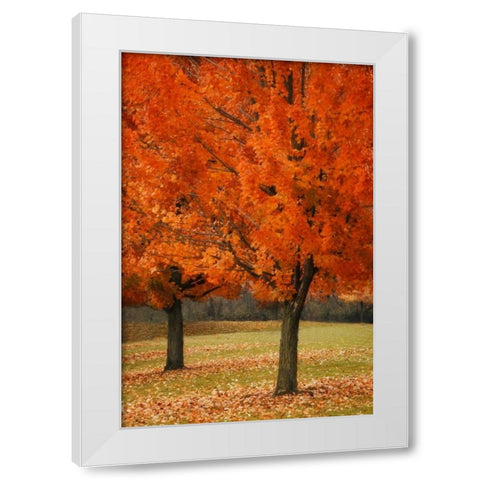 Splash of Color I White Modern Wood Framed Art Print by Geyman, Vitaly