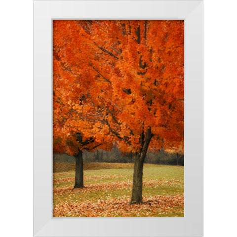 Splash of Color I White Modern Wood Framed Art Print by Geyman, Vitaly