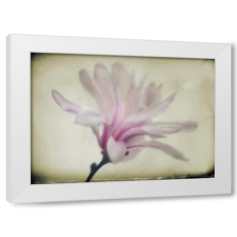 Floral Dreams I White Modern Wood Framed Art Print by Geyman, Vitaly