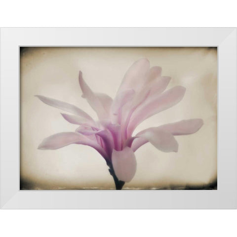 Floral Dreams II White Modern Wood Framed Art Print by Geyman, Vitaly