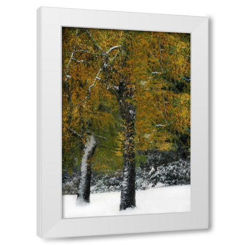 Last of Color I White Modern Wood Framed Art Print by Geyman, Vitaly