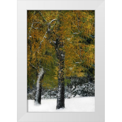 Last of Color I White Modern Wood Framed Art Print by Geyman, Vitaly