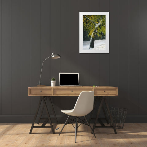 Last of Color II White Modern Wood Framed Art Print by Geyman, Vitaly