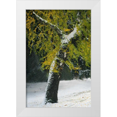 Last of Color II White Modern Wood Framed Art Print by Geyman, Vitaly