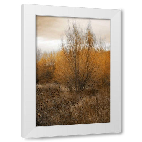Spring Serenity I White Modern Wood Framed Art Print by Geyman, Vitaly