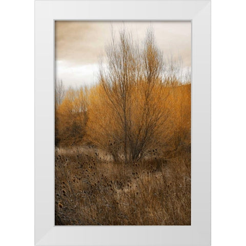 Spring Serenity I White Modern Wood Framed Art Print by Geyman, Vitaly