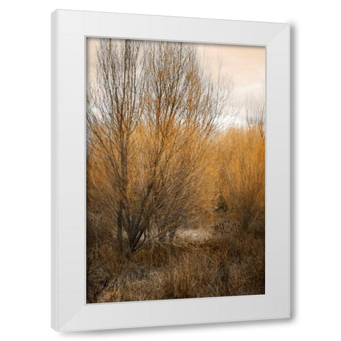 Spring Serenity II White Modern Wood Framed Art Print by Geyman, Vitaly
