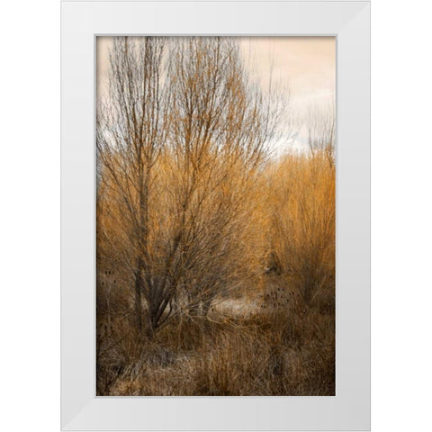 Spring Serenity II White Modern Wood Framed Art Print by Geyman, Vitaly