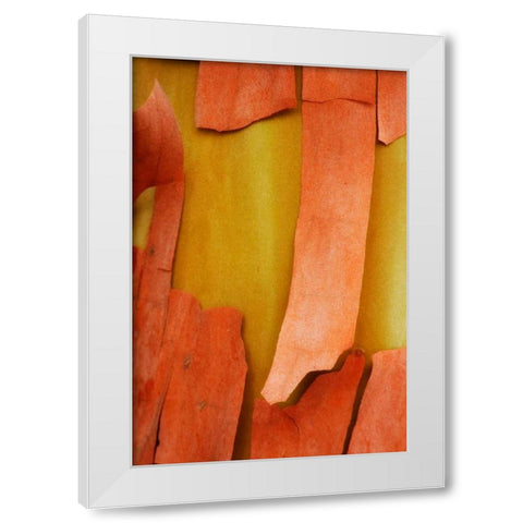 Madrone Mosaic I White Modern Wood Framed Art Print by Geyman, Vitaly